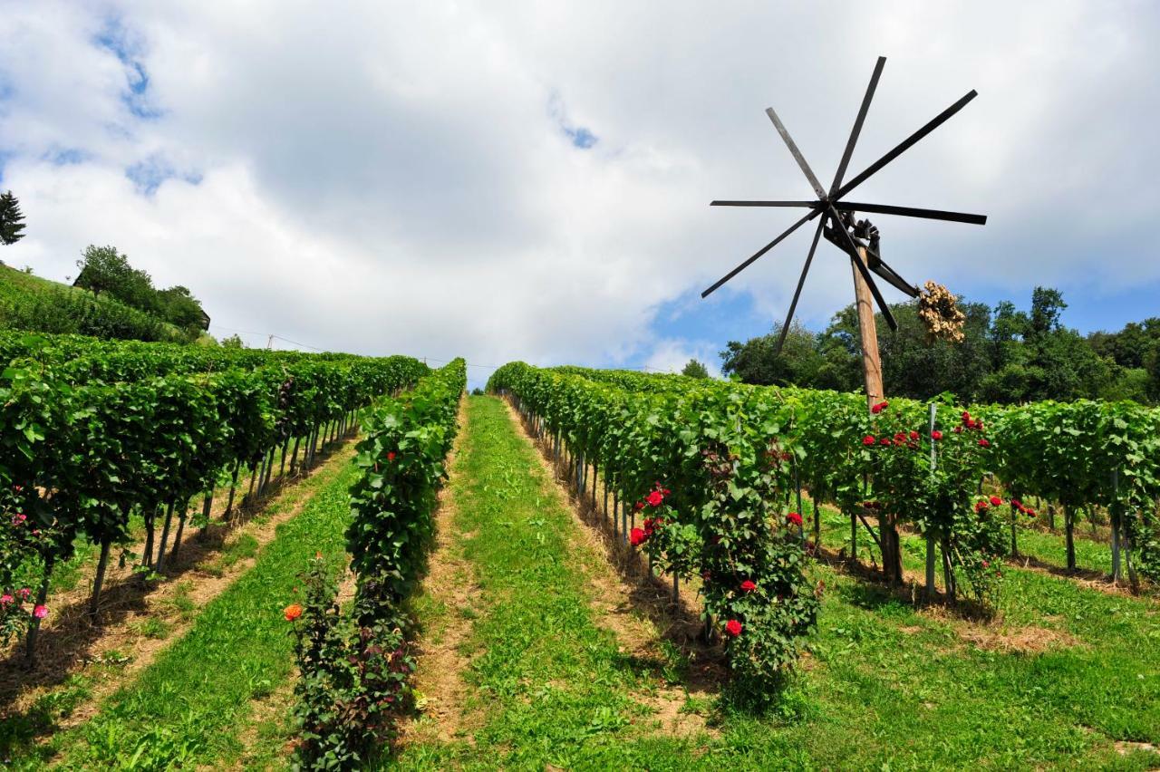 Bed and Breakfast Weingut Stoff Kitzeck im Sausal Exterior foto